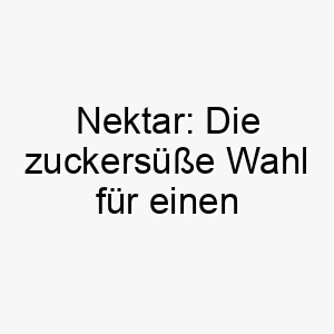 nektar die zuckersuesse wahl fuer einen liebenswerten vierbeiner 23199