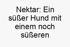 nektar ein suesser hund mit einem noch suesseren namen 23159