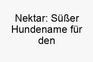 nektar suesser hundename fuer den liebenswertesten vierbeiner aller zeiten 23249