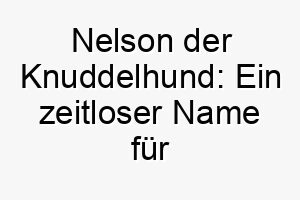 nelson der knuddelhund ein zeitloser name fuer deinen treuen vierbeiner 23094