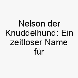 nelson der knuddelhund ein zeitloser name fuer deinen treuen vierbeiner 23094