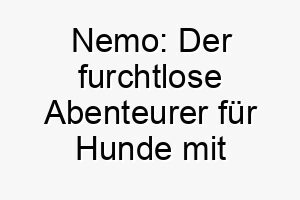 nemo der furchtlose abenteurer fuer hunde mit biss 23144