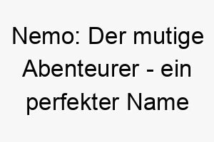 nemo der mutige abenteurer ein perfekter name fuer deinen tapferen hund 23165