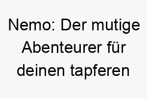 nemo der mutige abenteurer fuer deinen tapferen vierbeiner 23093