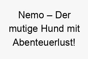 nemo der mutige hund mit abenteuerlust 23205