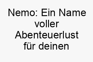 nemo ein name voller abenteuerlust fuer deinen neugierigen vierbeiner 23108