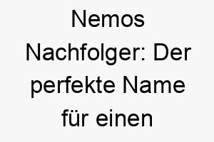 nemos nachfolger der perfekte name fuer einen mutigen hund mit abenteuerlust 23581