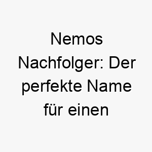 nemos nachfolger der perfekte name fuer einen mutigen hund mit abenteuerlust 23581