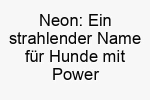 neon ein strahlender name fuer hunde mit power und persoenlichkeit 23154