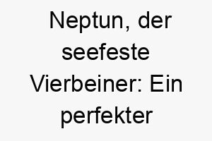 neptun der seefeste vierbeiner ein perfekter name fuer wasserbegeisterte hunde 23239