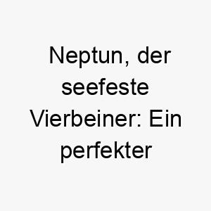 neptun der seefeste vierbeiner ein perfekter name fuer wasserbegeisterte hunde 23239