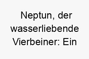 neptun der wasserliebende vierbeiner ein goettlicher name fuer unseren schwimmbegeisterten hund 23174