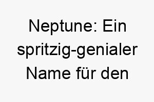 neptune ein spritzig genialer name fuer den wasserverliebten vierbeiner 23252