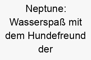 neptune wasserspass mit dem hundefreund der meere 23189