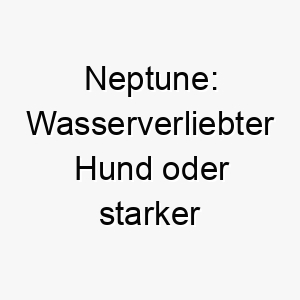 neptune wasserverliebter hund oder starker charakter ein majestaetischer name 23696