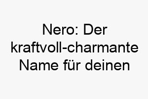 nero der kraftvoll charmante name fuer deinen starken hund 23088