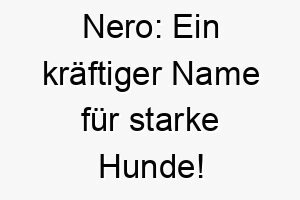 nero ein kraeftiger name fuer starke hunde 23161