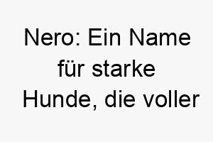 nero ein name fuer starke hunde die voller kraft und power stecken 23257