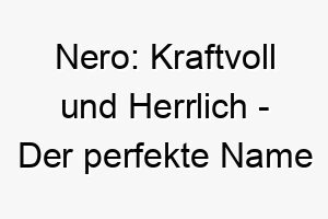 nero kraftvoll und herrlich der perfekte name fuer einen stolzen hunde ruepel 23222