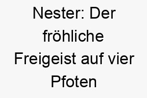 nester der froehliche freigeist auf vier pfoten 23114