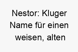 nestor kluger name fuer einen weisen alten vierbeiner ein wahrer heimkehrer 23228