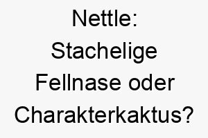 nettle stachelige fellnase oder charakterkaktus der perfekte name fuer einen hund mit biss 23212