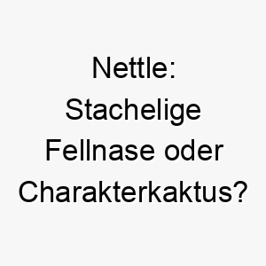 nettle stachelige fellnase oder charakterkaktus der perfekte name fuer einen hund mit biss 23212