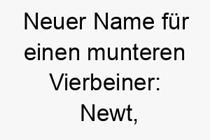 neuer name fuer einen munteren vierbeiner newt der freche salamander 23107