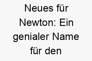 neues fuer newton ein genialer name fuer den cleversten vierbeiner 23245