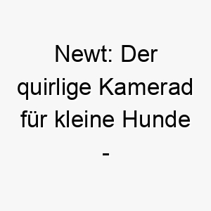 newt der quirlige kamerad fuer kleine hunde ein name wie geschaffen 23269