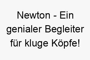 newton ein genialer begleiter fuer kluge koepfe 23145