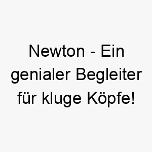 newton ein genialer begleiter fuer kluge koepfe 23145