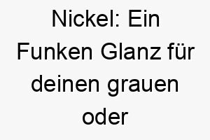 nickel ein funken glanz fuer deinen grauen oder silbernen welpen 23221