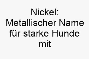 nickel metallischer name fuer starke hunde mit unverwuestlichem charakter 23710