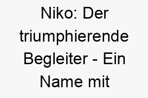 niko der triumphierende begleiter ein name mit freundlichem siegesglanz fuer froehliche hunde 23250