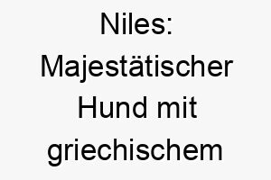 niles majestaetischer hund mit griechischem charme 23109