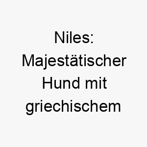 niles majestaetischer hund mit griechischem charme 23109