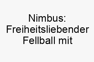 nimbus freiheitsliebender fellball mit fluffig leichtem namen 23163