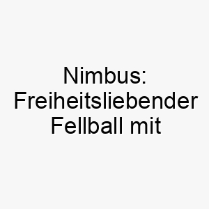 nimbus freiheitsliebender fellball mit fluffig leichtem namen 23163