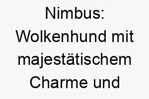 nimbus wolkenhund mit majestaetischem charme und dunklem fell 23272