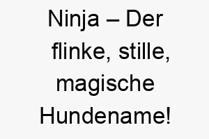 ninja der flinke stille magische hundename 23120