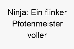 ninja ein flinker pfotenmeister voller raffinesse perfekt fuer deinen cleveren vierbeiner 23275