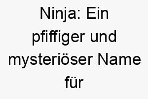 ninja ein pfiffiger und mysterioeser name fuer agile vierbeiner meister der tarnung 23284