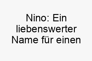 nino ein liebenswerter name fuer einen verspielten vierbeiner 23095 1