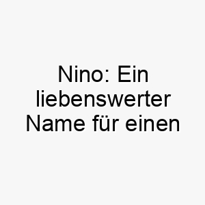 nino ein liebenswerter name fuer einen verspielten vierbeiner 23095 1