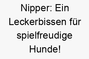 nipper ein leckerbissen fuer spielfreudige hunde 23138