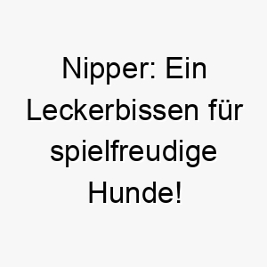 nipper ein leckerbissen fuer spielfreudige hunde 23138