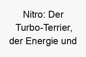 nitro der turbo terrier der energie und geschwindigkeit versprueht 23274