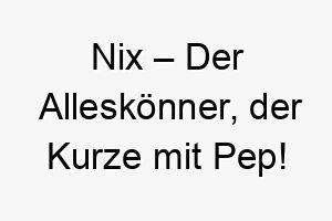 nix der alleskoenner der kurze mit pep 23229