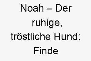 noah der ruhige troestliche hund finde deine innere gelassenheit 23127